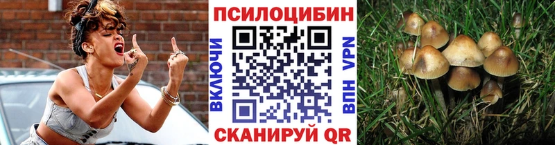 ссылка на мегу маркетплейс darknet формула Псилоцибиновые грибы Cubensis Керчь